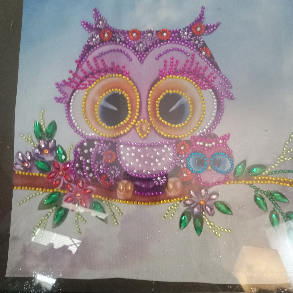 Premade  diamond artwork owl